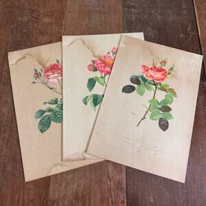 Set‎ of 3 Antique Pierre Joseph Redouté Prints Distressed 18.5" x 12.5"